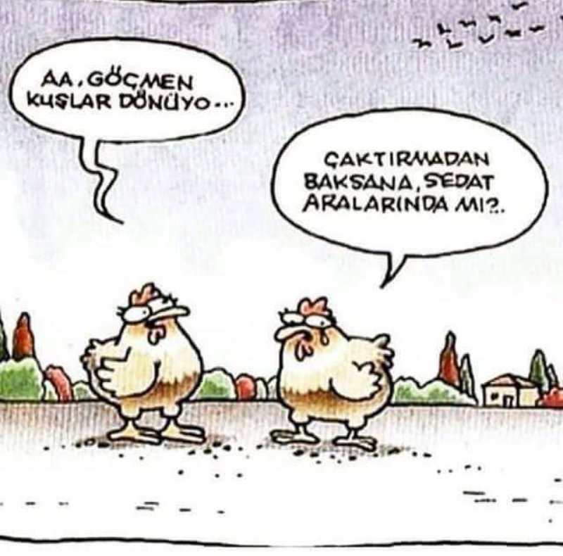 Aslı'nın Bekleyişi...