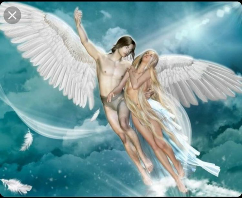 Screenshot_2019-07-31-13-37-56-1