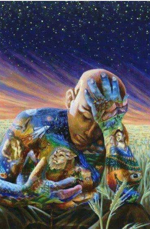 Screenshot_2019-08-06-00-49-20-1