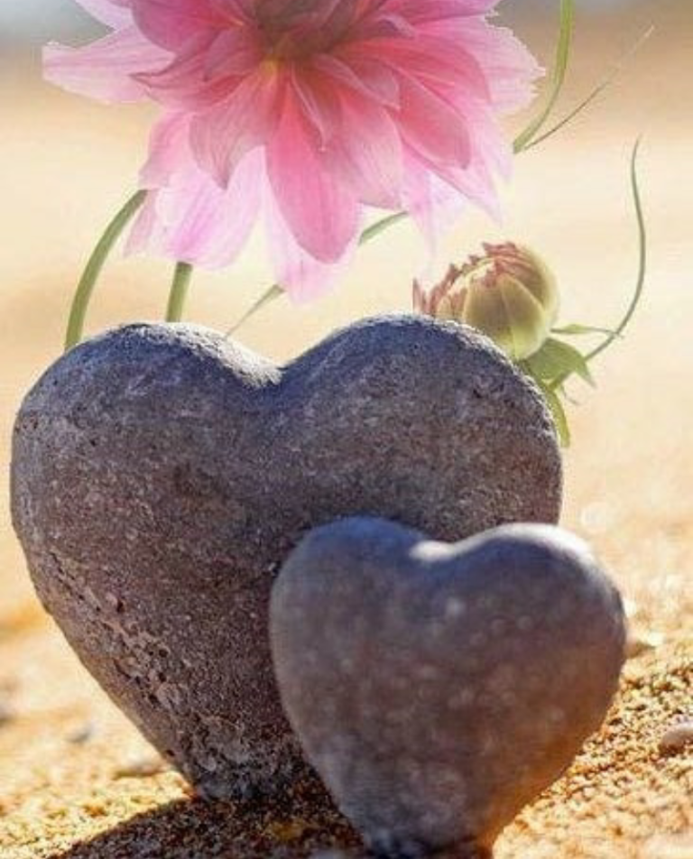 Screenshot_2019-08-14-13-18-22-1