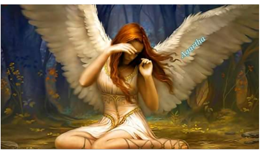 Screenshot_2019-08-22-23-06-33-1