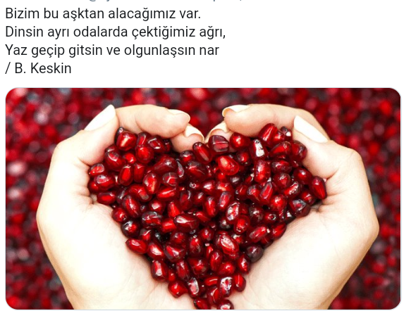 Screenshot_2019-08-24-14-57-08-1