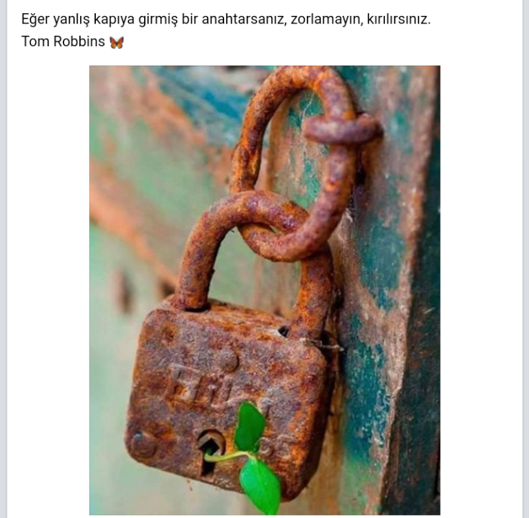 Screenshot_2019-05-04-13-09-50-1