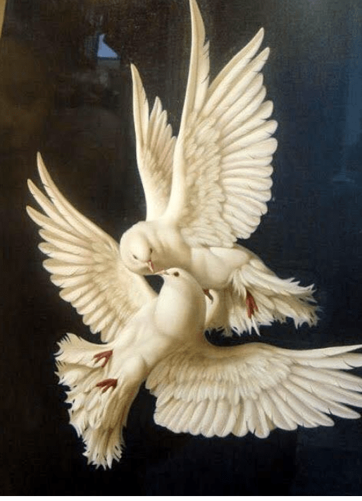 Screenshot_2019-07-30-20-22-09-1