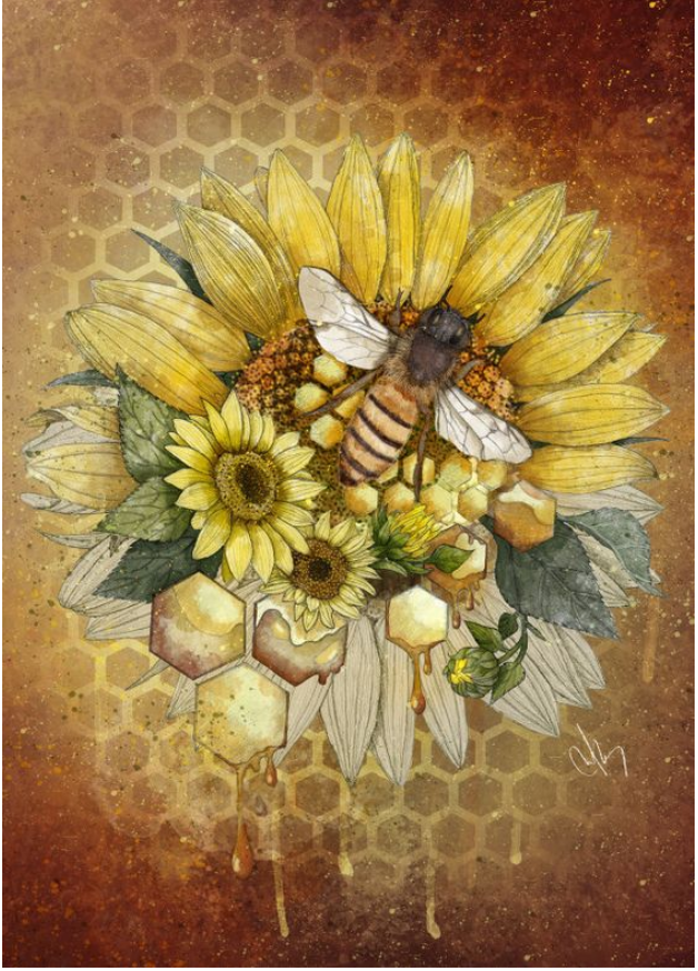 Screenshot_2019-09-25-11-20-39-1