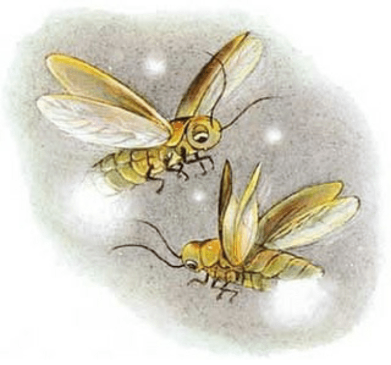 Screenshot_2019-10-10-19-36-20-1