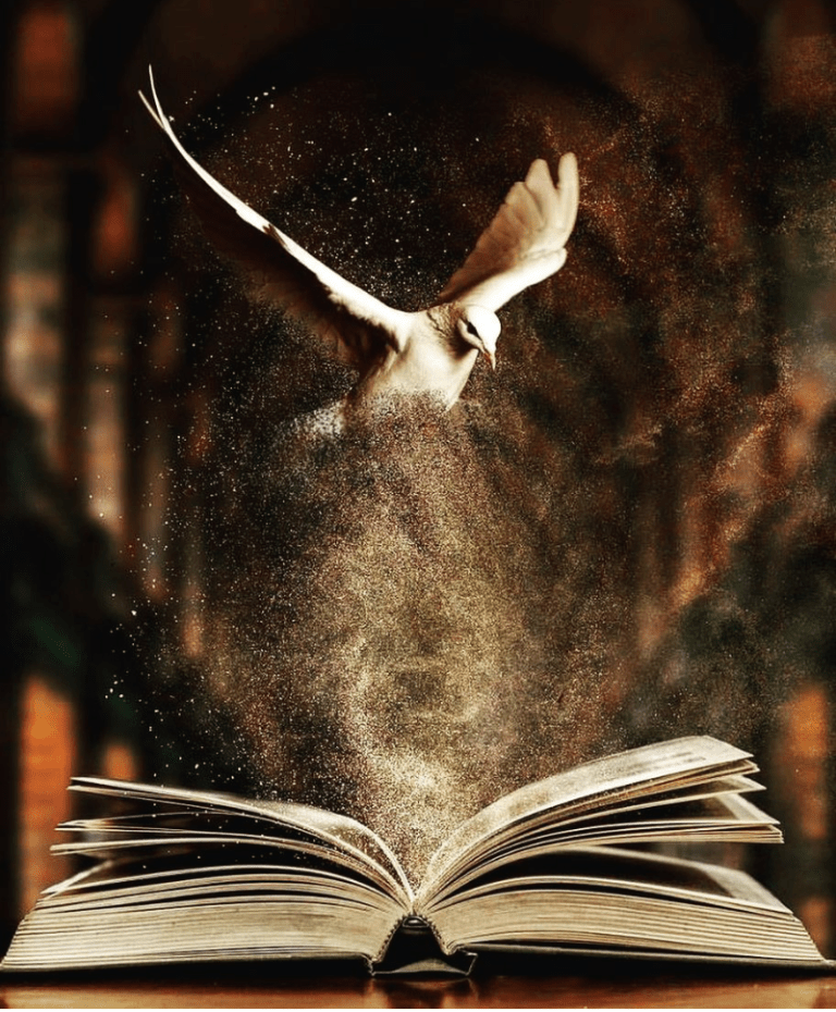 Screenshot_2019-11-04-00-33-41-1