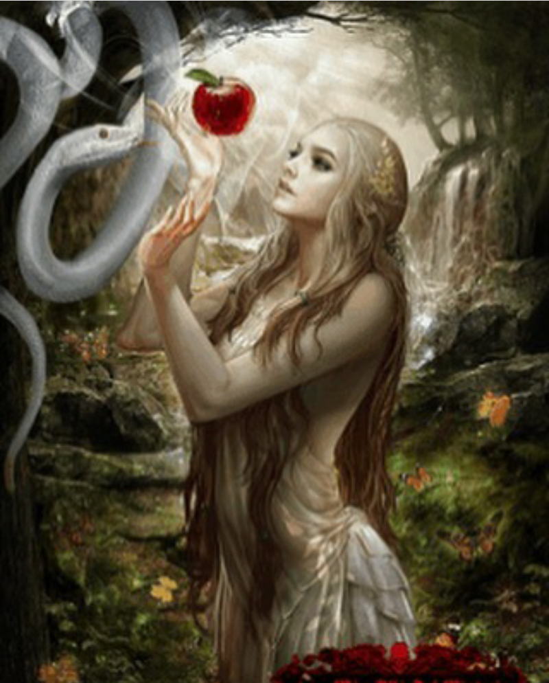 Screenshot_2019-11-05-14-48-17-1