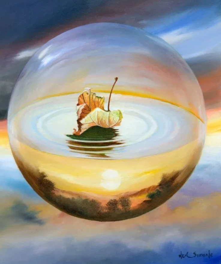 Screenshot_2019-11-22-12-27-56-1