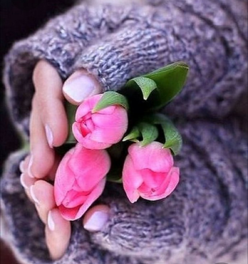 Screenshot_2019-11-24-13-50-04-1