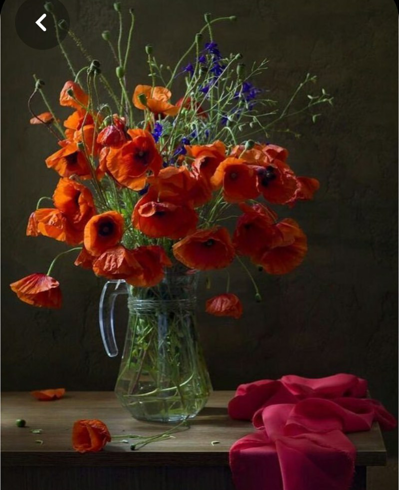 Screenshot_2019-12-14-01-48-56-1