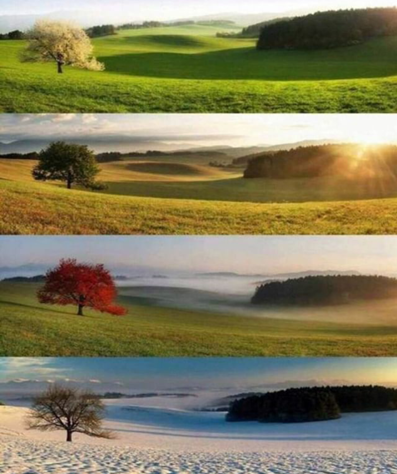 Screenshot_2020-01-28-16-09-48