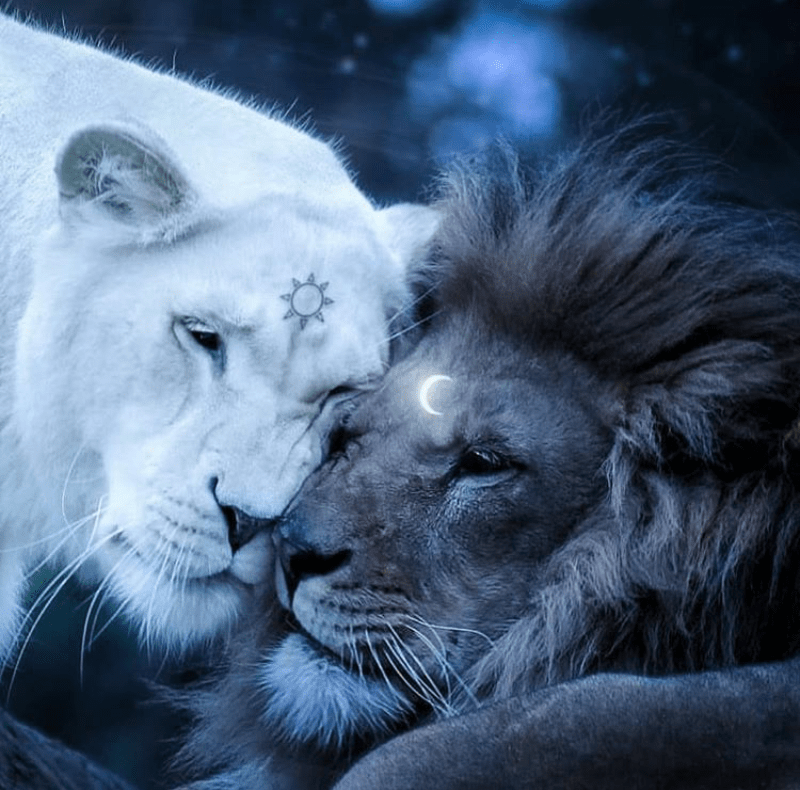 Screenshot_2020-02-02-11-34-28