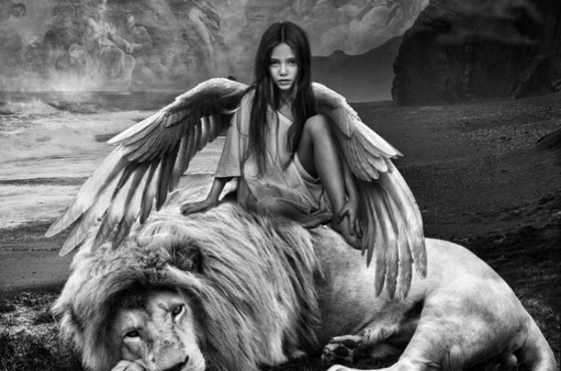 Screenshot_2020-02-09-16-14-18