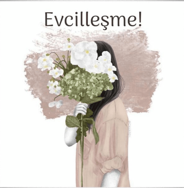 Screenshot_2020-02-27-01-04-09