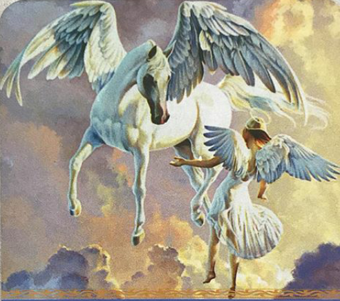 Screenshot_2019-11-20-13-08-49-1