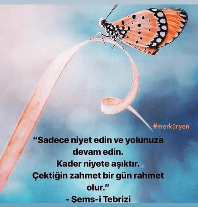 Screenshot_2020-01-06-15-20-40