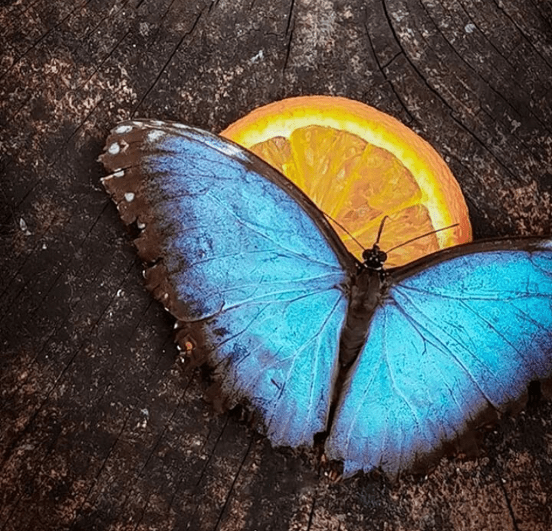 Screenshot_2020-03-13-10-10-50