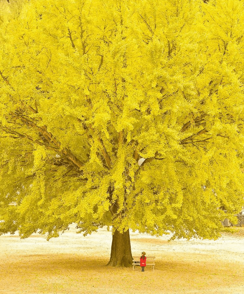 Screenshot_2020-03-20-08-51-14